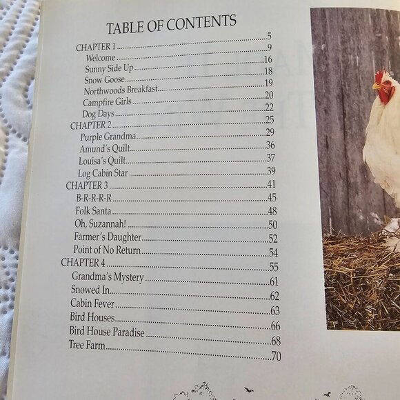 We Made It Through The Winter Quilt Pattern Book By Country Threads 1995 Vintage - Picture 4 of 10